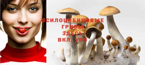 MESCALINE Покровск