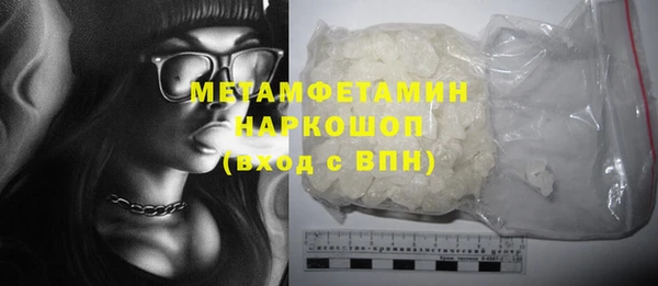 индика Алексин