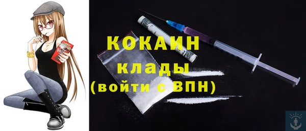 индика Алексин