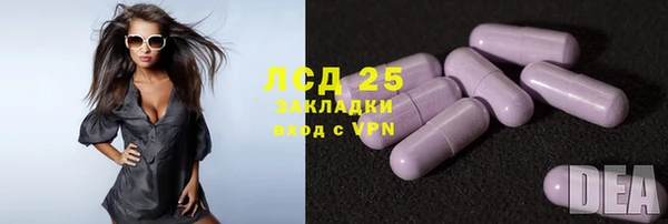 индика Алексин