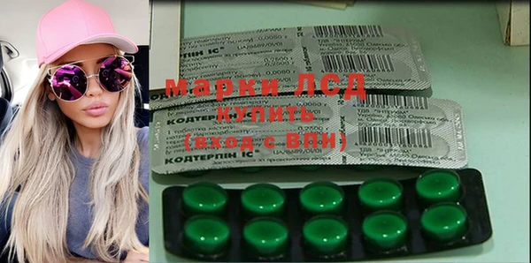 индика Алексин
