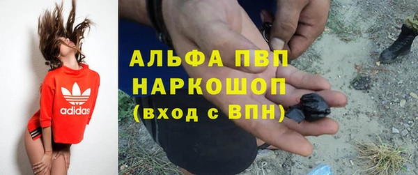 индика Алексин